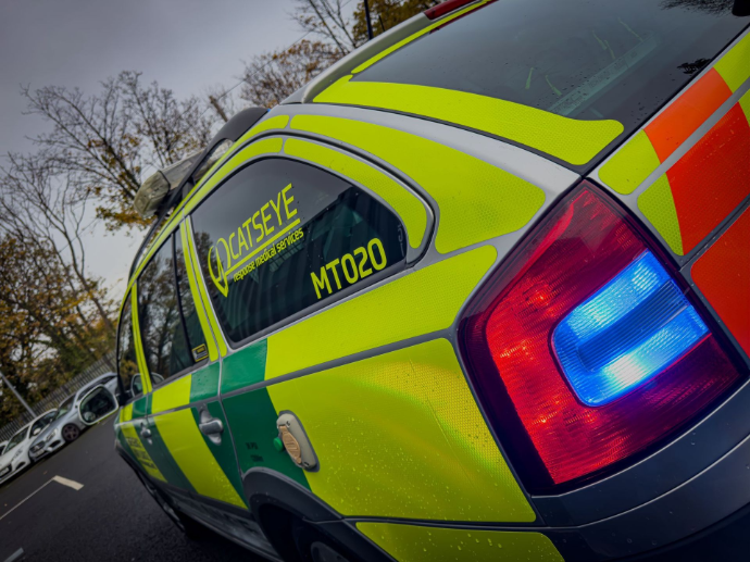 Rapid Response Medical Teams